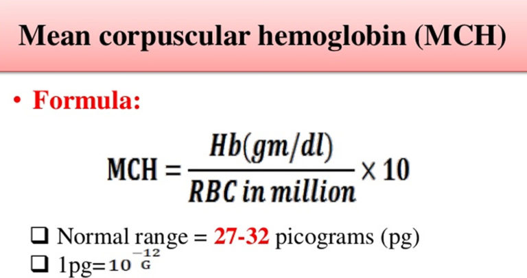 MCH Blood Test - Normal Range, Low And High MCH