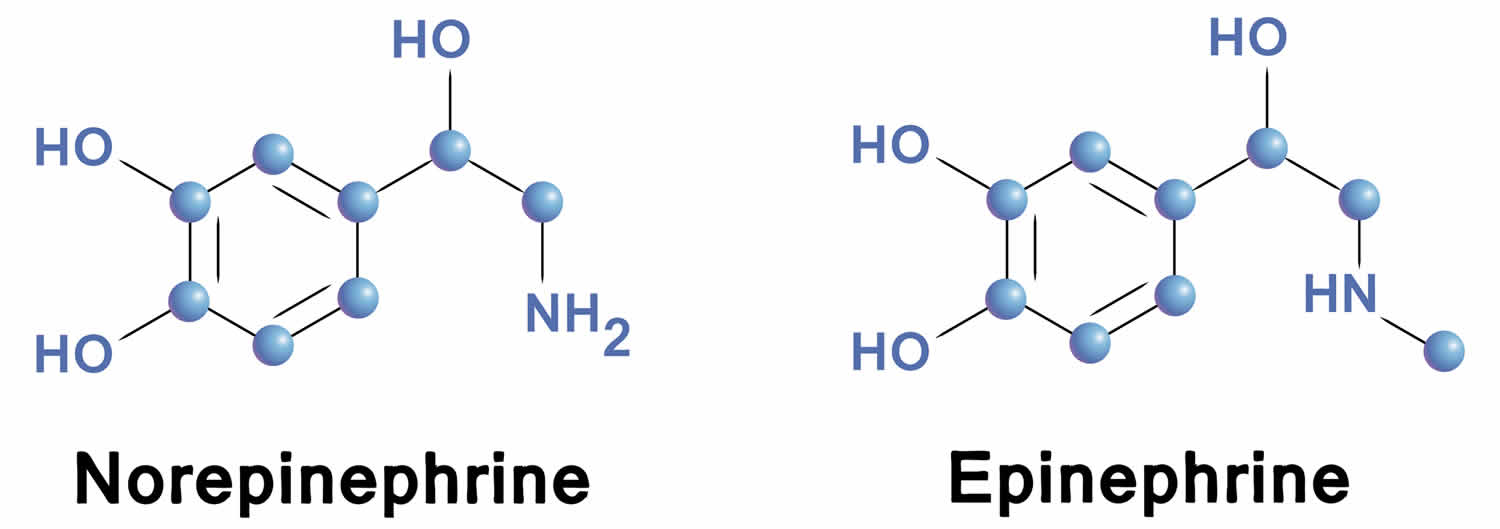 Адреналин и кортизол. Norepinephrine гормоны формула. Кортизол адреналин норадреналин. Эпинефрин и норэпинефрин. Эпинефрин норэпинефрин формулы.