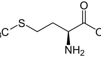 methionine