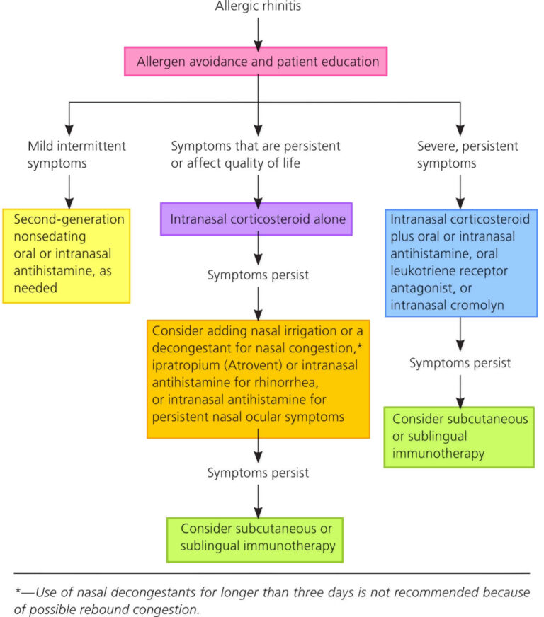 Allergic Rhinitis Causes, Symptoms, Allergic Rhinitis Medication 