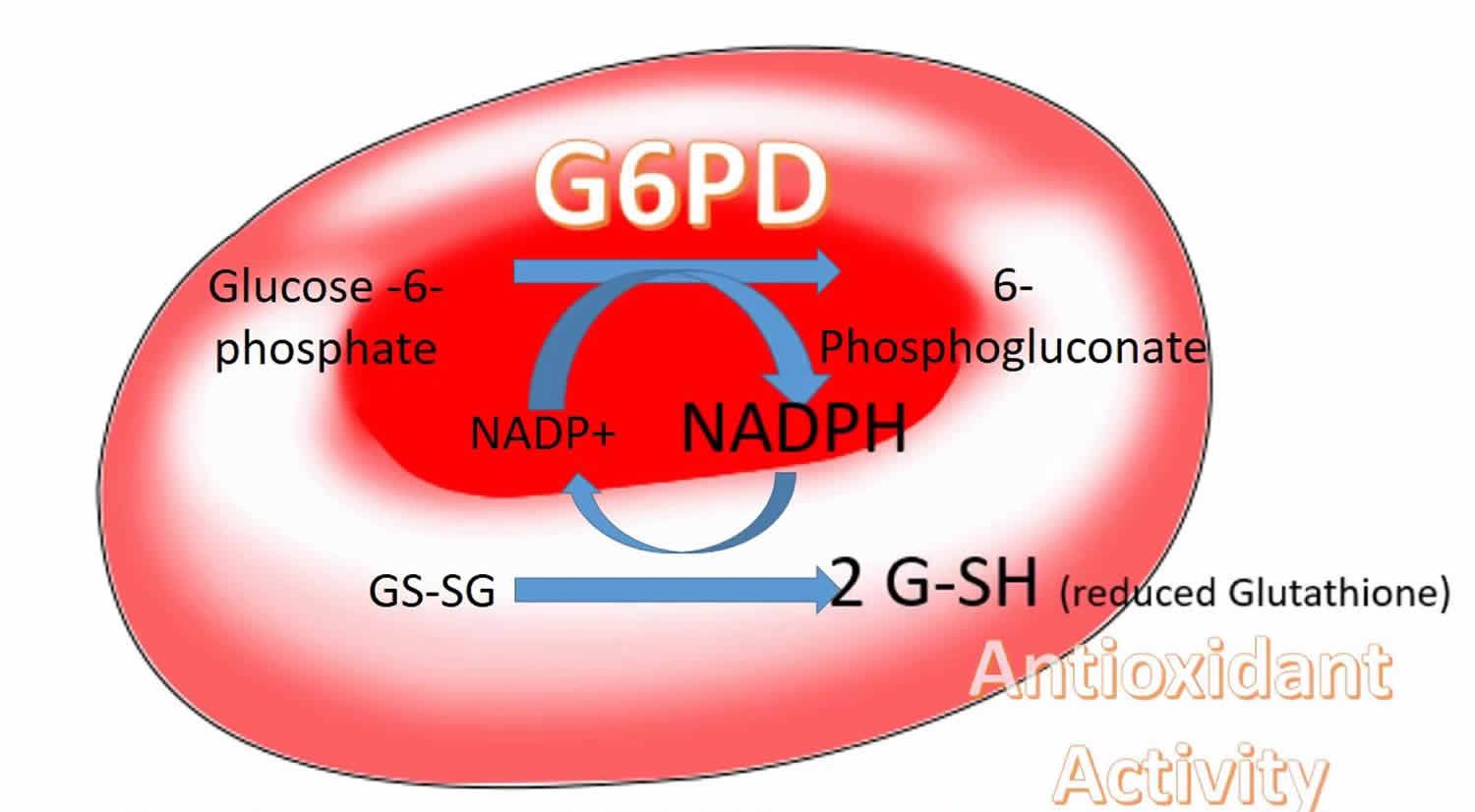 g6pd-deficiency-causes-symptoms-drugs-to-avoid-g6pd-deficiency