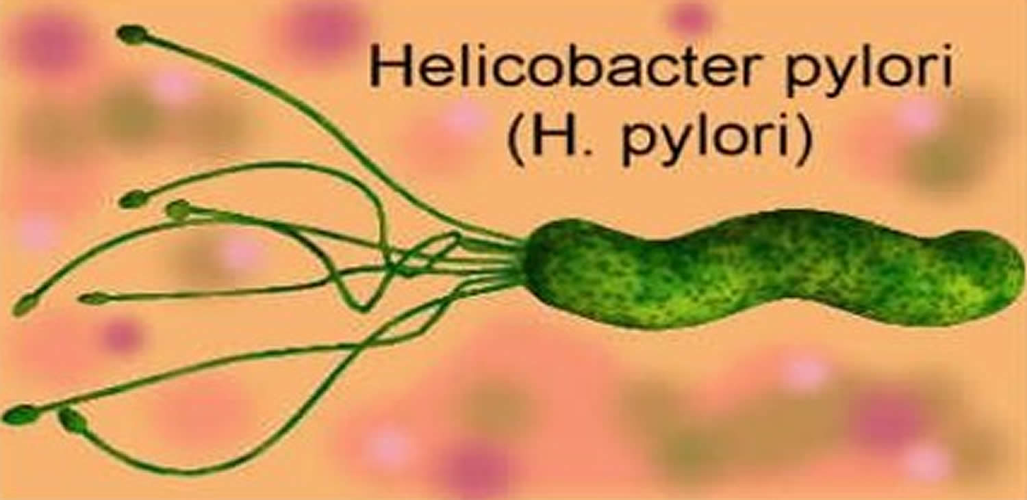 Bacteria helicobacter tratamiento