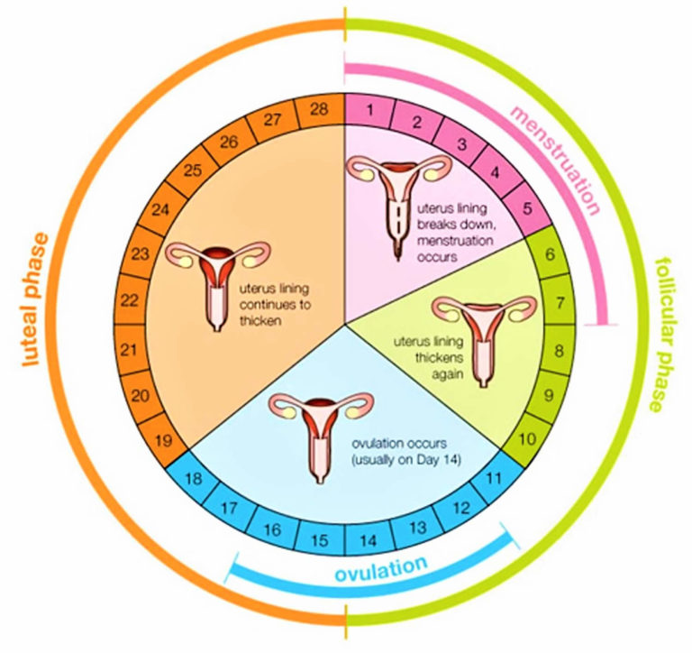 Menarche signs, symptoms, age of onset, what is normal and abnormal