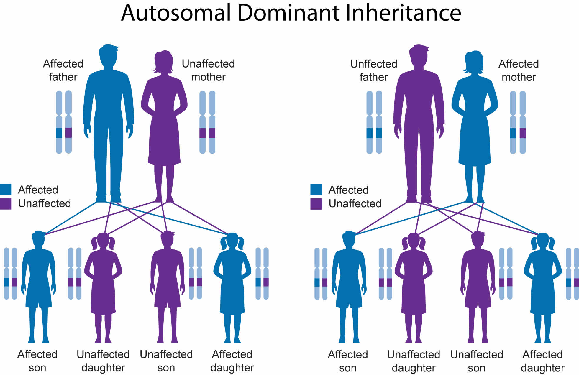 Виды отцов. Аутосомно-доминантный Тип наследования болезни. Autosomal dominant Inheritance. Болезнь Гентингтона Тип наследования. Хорея Гентингтона аутосомно-доминантный.