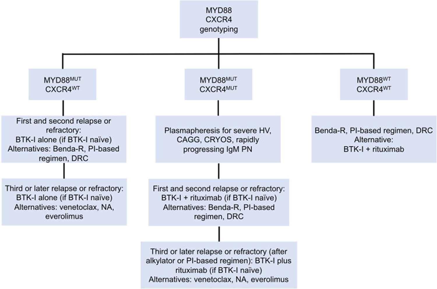 Waldenstrom Macroglobulinemia Causes, Symptoms, Diagnosis, Prognosis ...