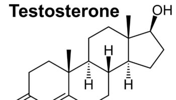 androgen