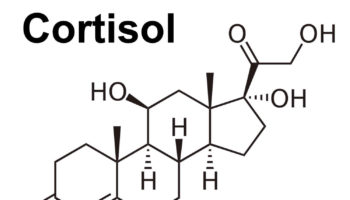 glucocorticoids