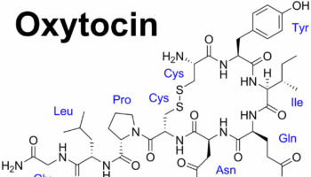 oxytocin