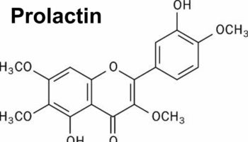 prolactin