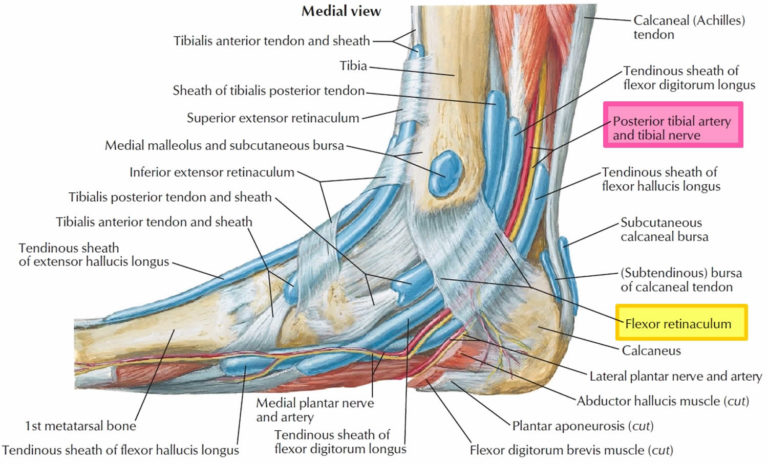 Tarsal tunnel syndrome symptoms, causes, diagnosis, prognosis & treatment