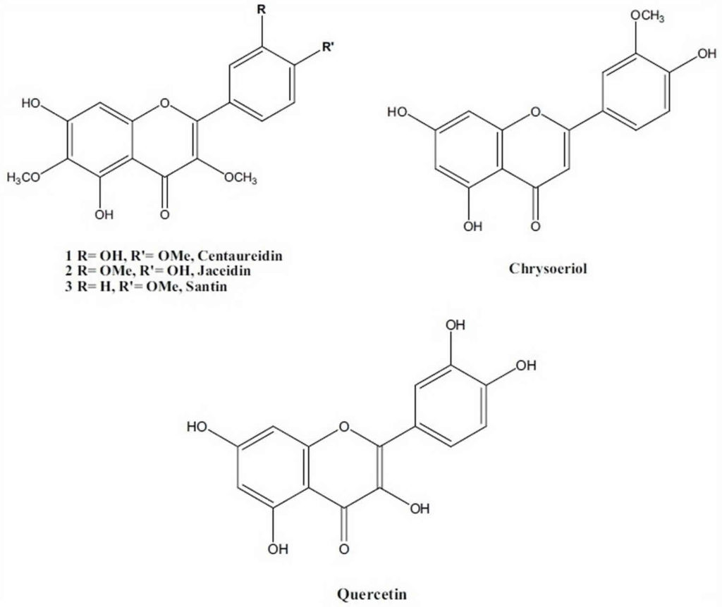 feverfew-uses-feverfew-dosage-feverfew-interactions-feverfew-side