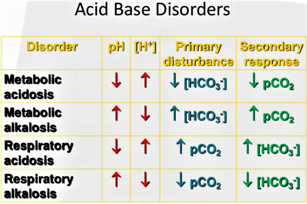 Hyperchloremic Acidosis Definition Causes Symptoms Diagnosis Treatment   Acid Base Balance 1024x680 