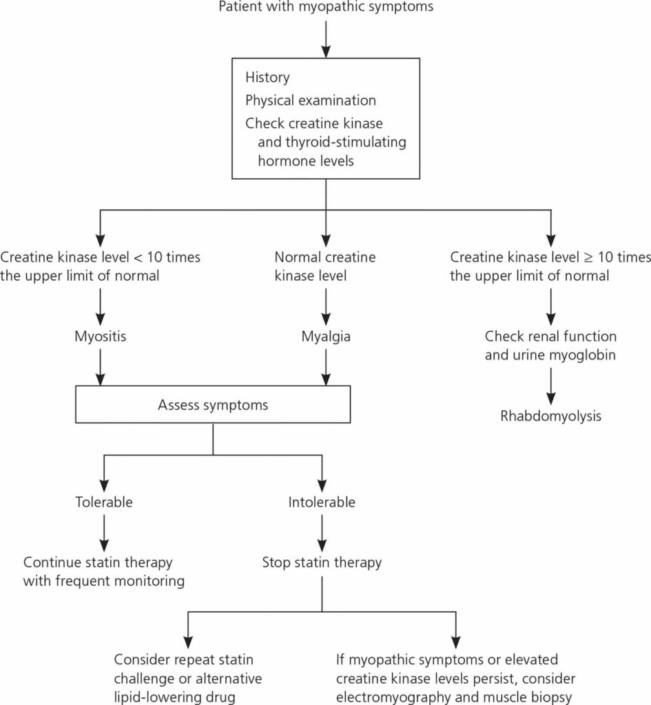 Statins uses, how do statins work, are statins safe and statins side ...