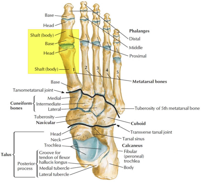 Turf toe causes, signs, symptoms, recovery, diagnosis & turf toe treatment