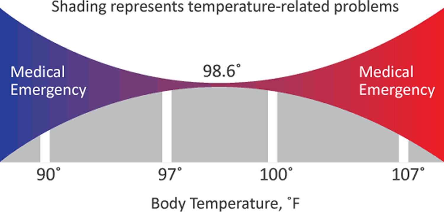 Temperature normal body What Is