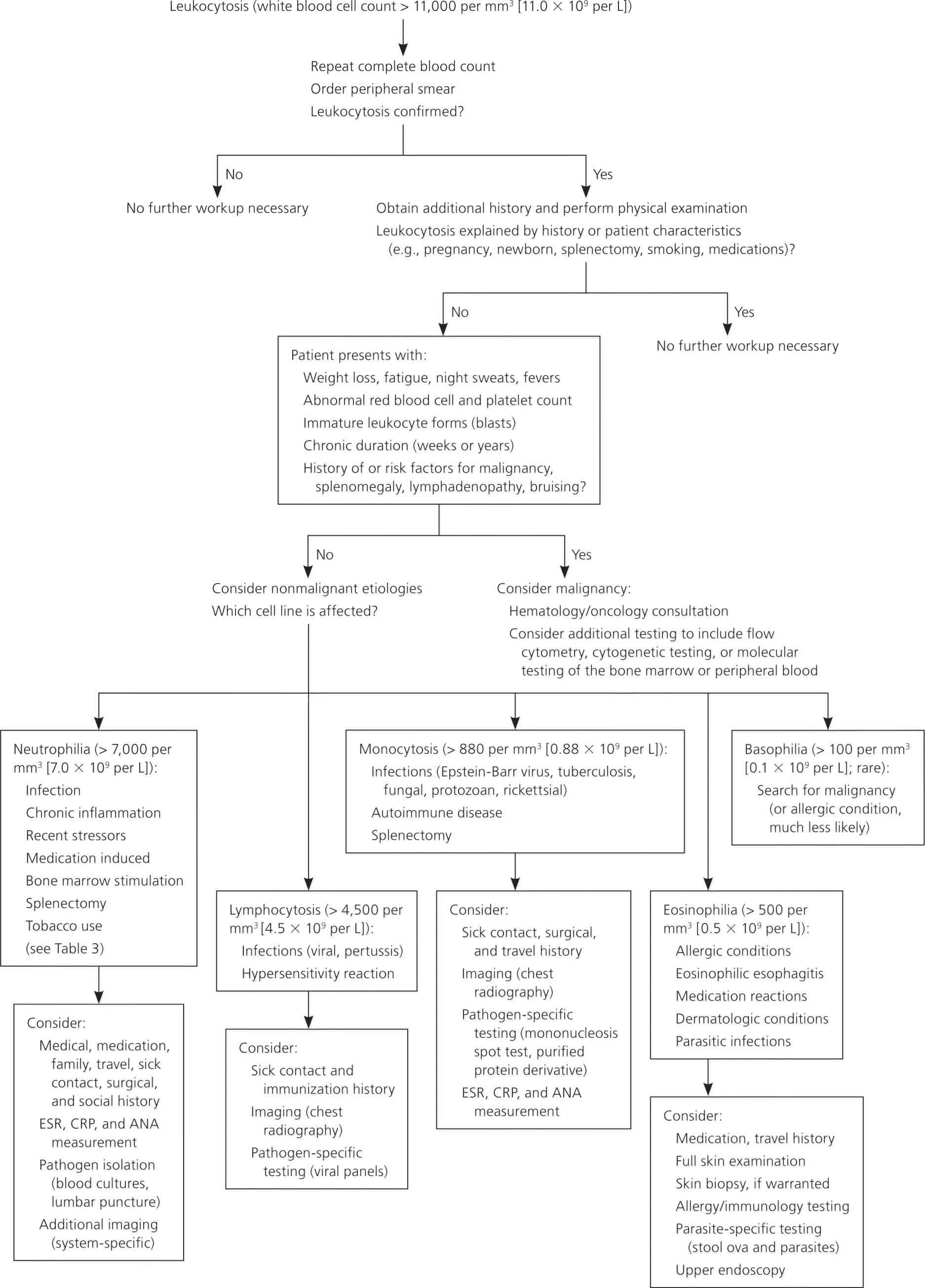 Leukocytosis definition, causes, symptoms, diagnosis & leukocytosis ...