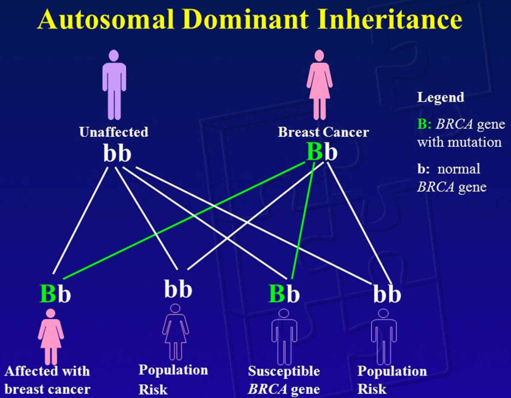 a case study a brca genetic testing dilemma