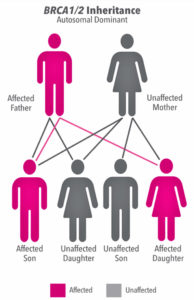 BRCA testing, who should get BRCA testing and BRCA testing criteria