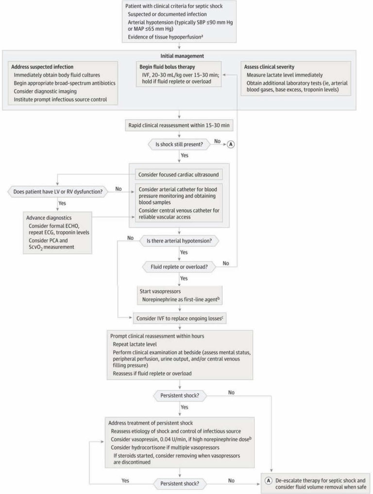 Septic shock causes, signs, symptoms, diagnosis & septic shock treatment