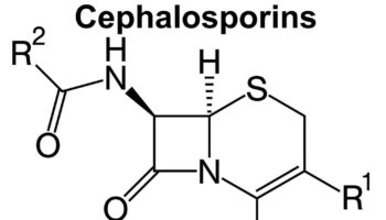 cephalosporins