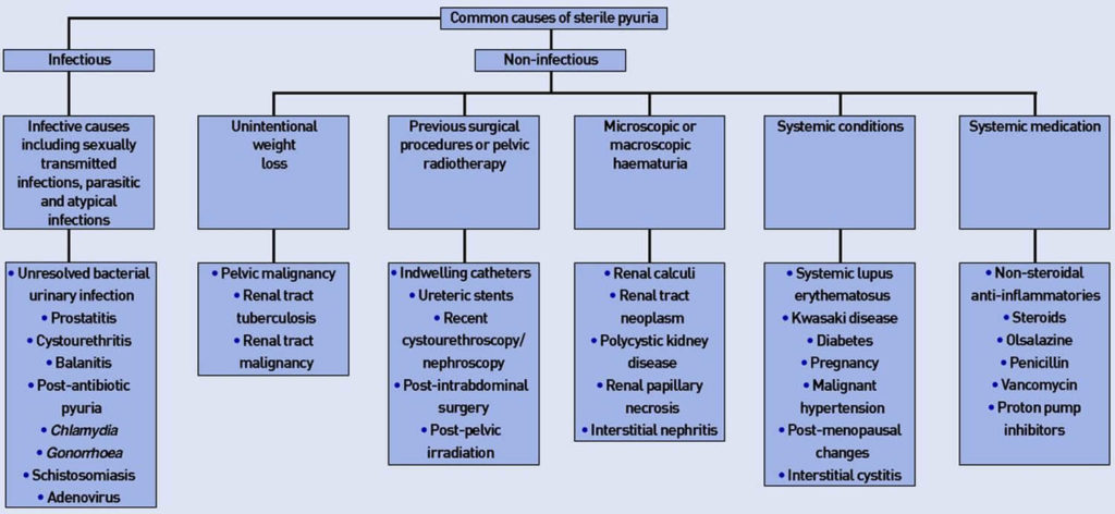 Pyuria & Sterile Pyuria Causes, Symptoms, Diagnosis And Treatment