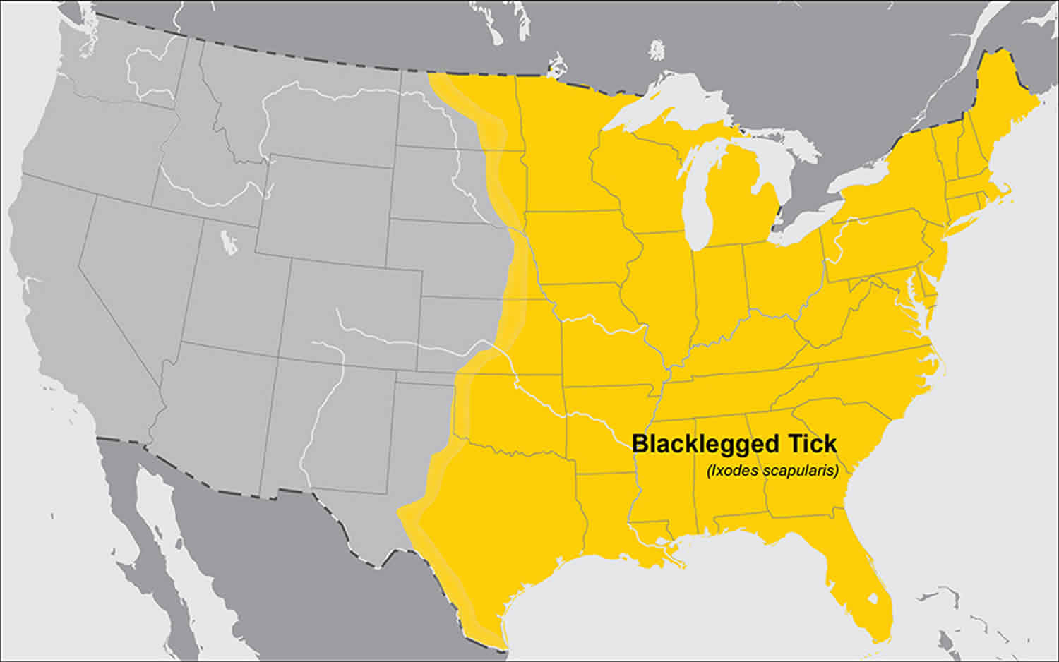 Geographic distribution of deer ticks that bite humans