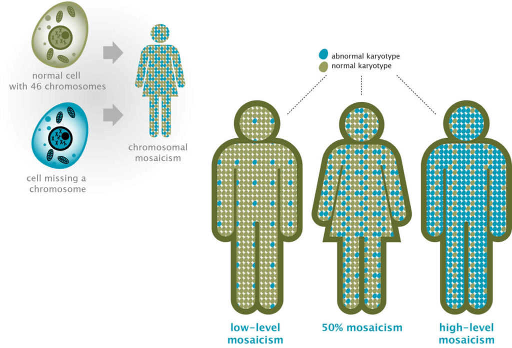 Chromosomal Mosaicism, Genetic Mosaicism & Mosaicism Symptoms