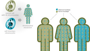 chromosomal mosaicism