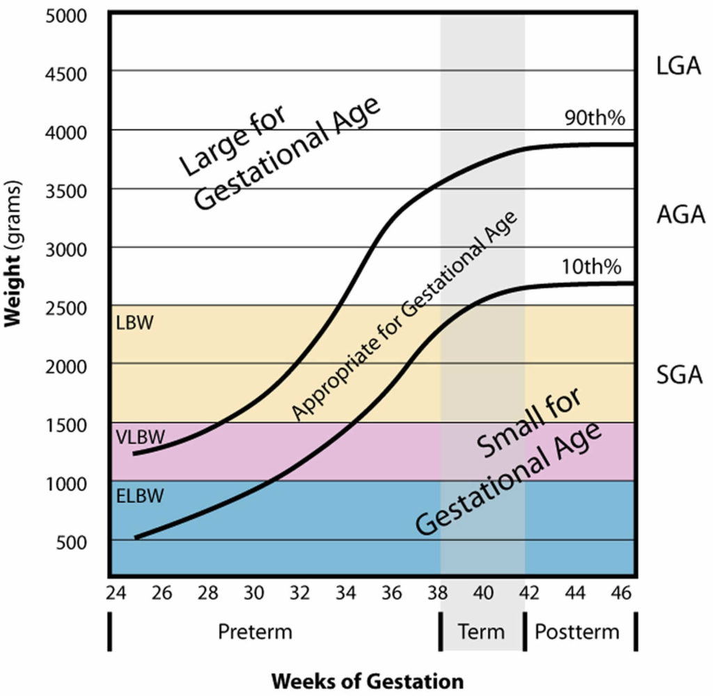 Gestational Age Chart How To Calculate Gestational Age Corrected Age