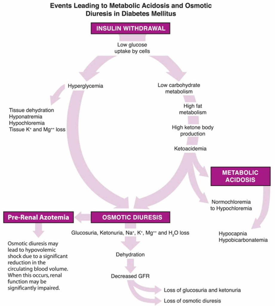 Osmotic diuresis defined & osmotic diuresis causes
