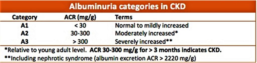 albumin-function-associated-diseases-selfdecode-labs