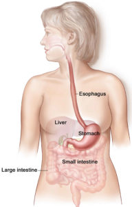 Esophageal Manometry Study Prep Procedure Results Risks