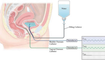 urodynamics