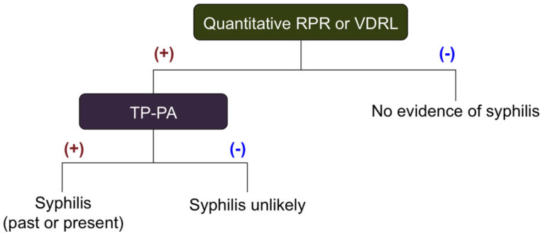 RPR test, RPR test for syphilis, RPR test results interpretation