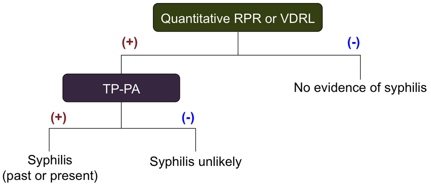 Treponema pallidum syphilis transmission, symptoms, diagnosis & treatment