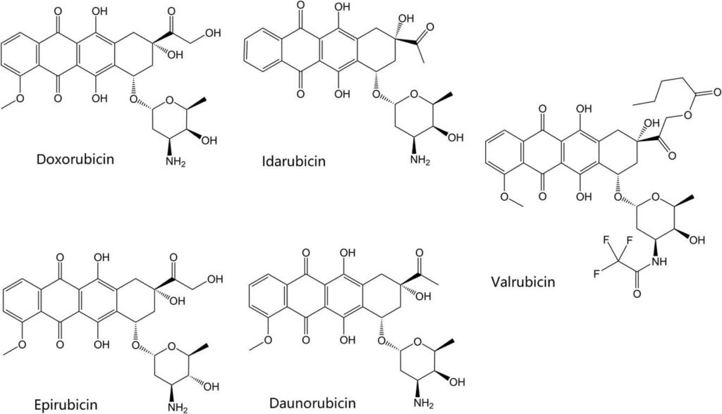 DNA Topoisomerase Function, Structure & Topoisomerase Inhibitors