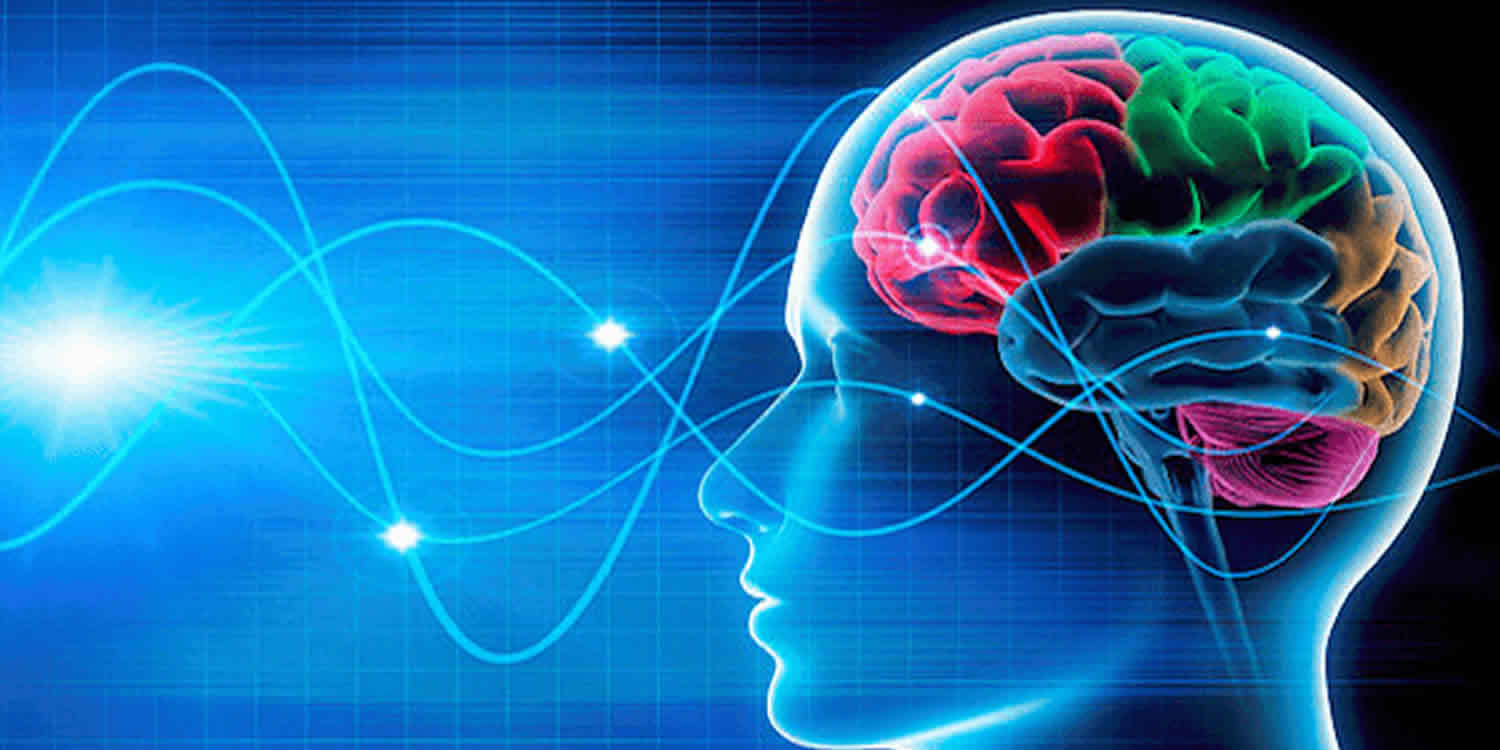neuroplasticity-definition-how-does-it-work-how-to-increase