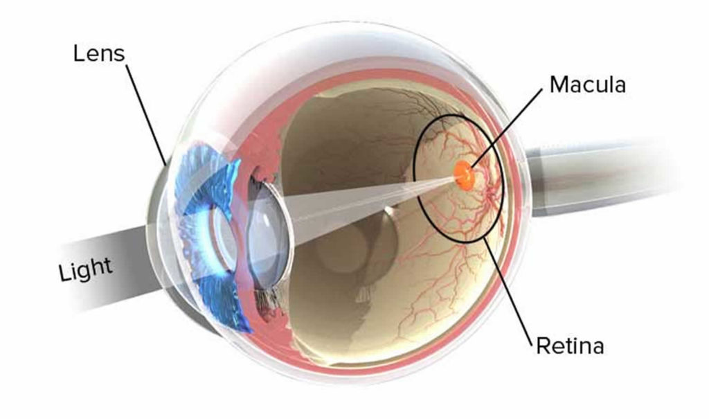 peripheral-vision-causes-of-peripheral-vision-problems-treatment