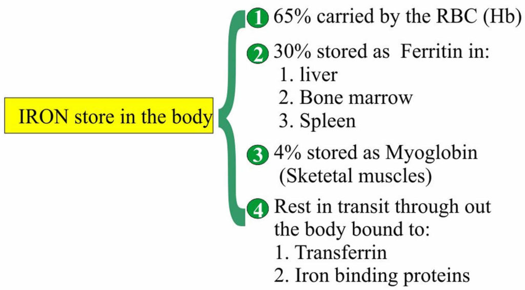 Transferrin saturation defined, calculation, normal range & causes of