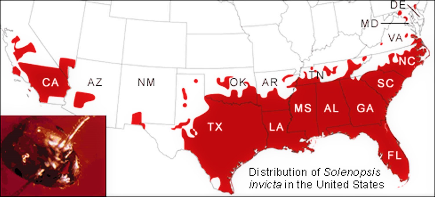 Fire ants geographic distribution
