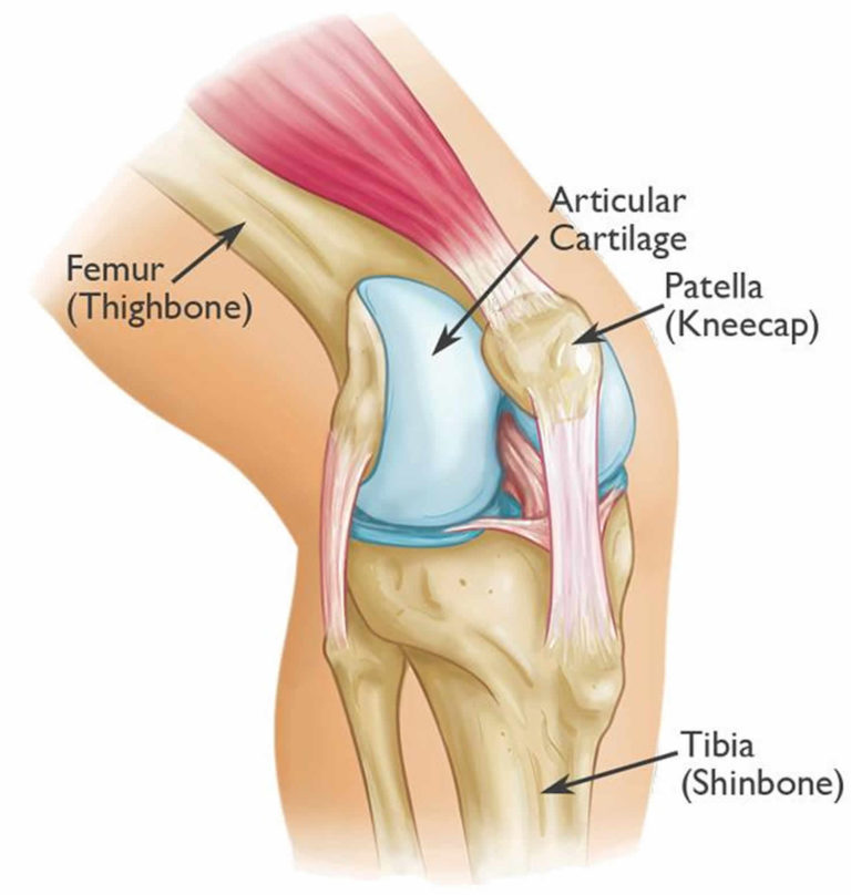 patella-fracture-causes-types-symptoms-diagnosis-treatment-recovery