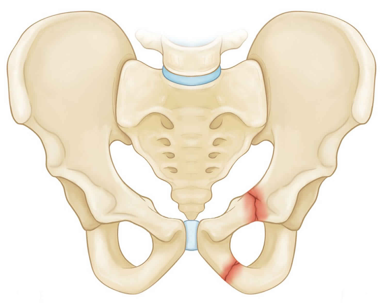 diagnostics-knee-and-ankle-x-rays-taming-the-sru