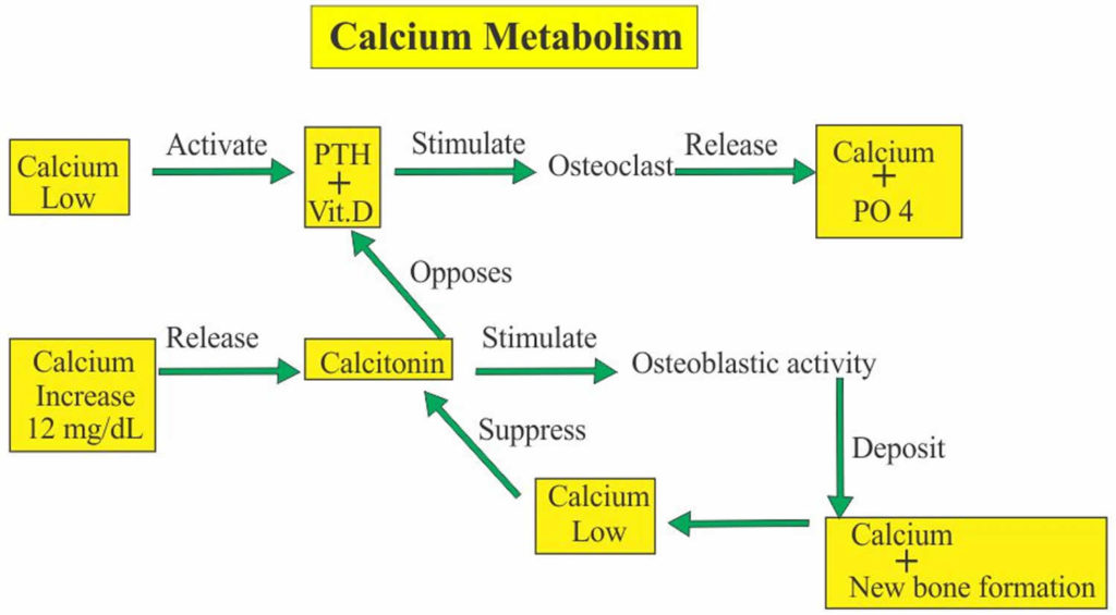 Calcium in urine, normal calcium in urine, high & low calcium in urine