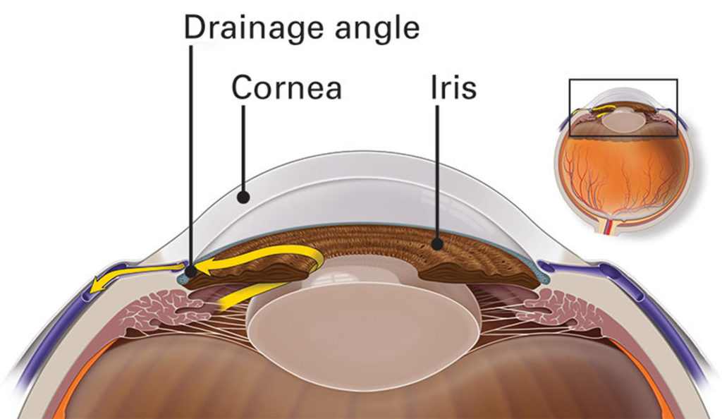 intraocular-pressure-definition-normal-range-intraocular-pressure