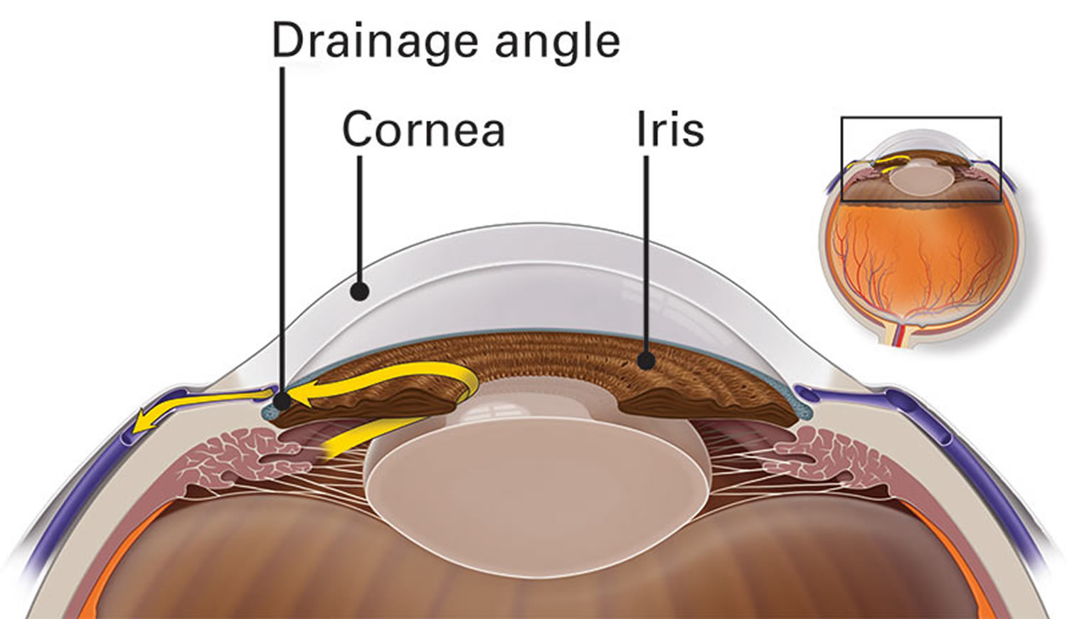 Intraocular Pressure Definition Normal Range Intraocular Pressure 