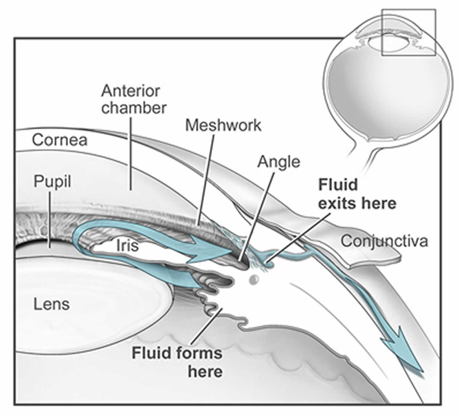 Intraocular Pressure Definition Normal Range Intraocular Pressure 