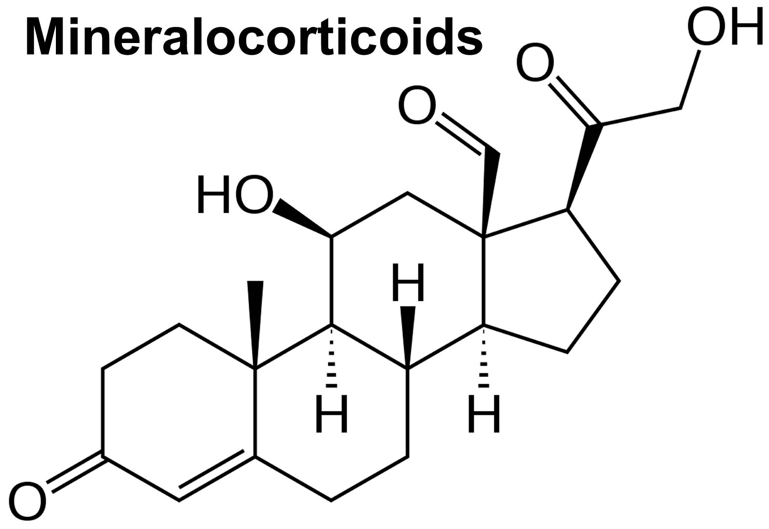 mineralocorticoids
