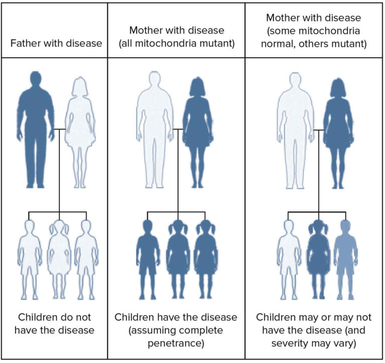 MELAS syndrome causes, symptoms, diagnosis, treatment & prognosis