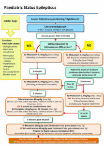 Status epilepticus definition, types, causes, symptoms, diagnosis ...