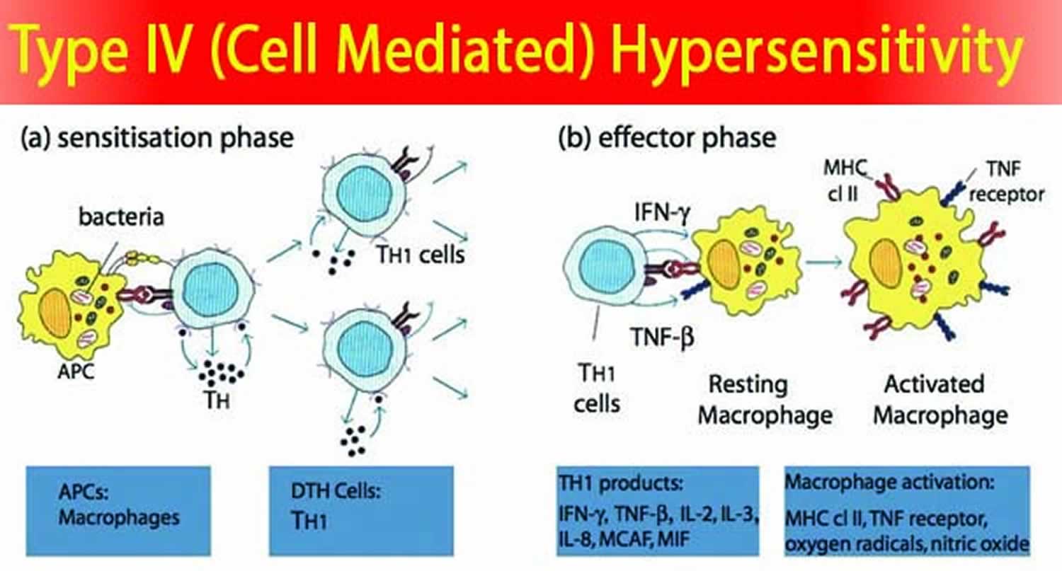 What is delayed hypersensitivity reaction